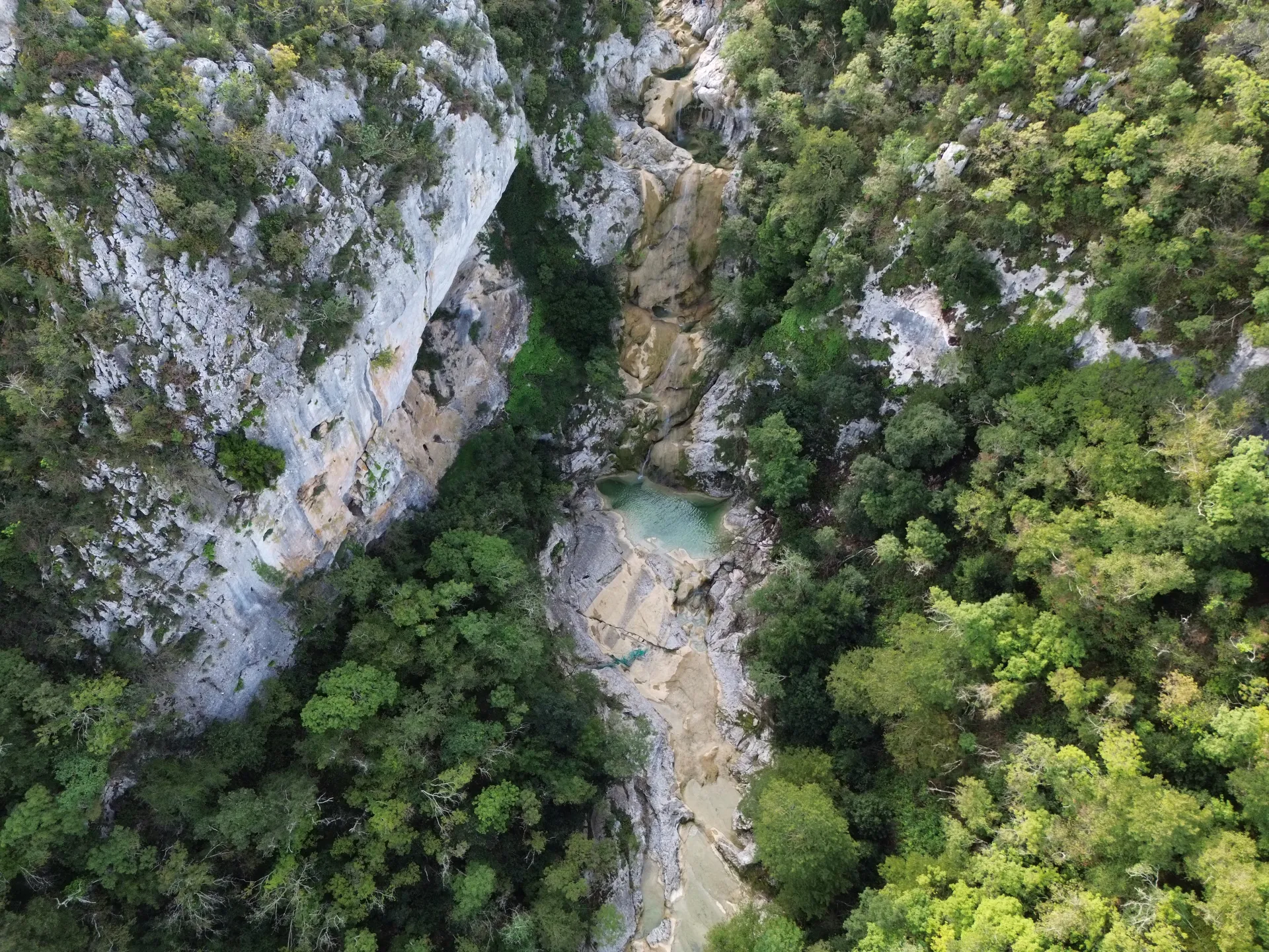 Zingarella - all photos